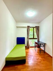 Parc Vera (D19), Condominium #584895421